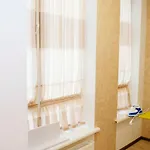 Daire семицвіт Lviv